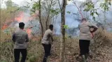 Kebakaran Hutan Gunung Ciremai Padam, Petugas Lakukan Pendinginan