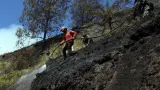 Karhutla Masih Terjadi di Bromo, Semeru, Argopuro dan Kawinajang