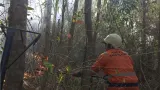 El Nino Sangat Kuat Landa RI, Kebakaran Hutan Terus Rambah Hutan-Lahan