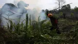 Kalbar Perpanjang Tanggap Darurat Asap Karhutla Sampai 20 September
