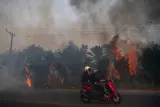 Ancaman Kebakaran Hutan dan Gelombang Panas Terhadap Kualitas Udara Global