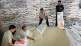 Alokasi 6.801,99 Ton Beras Bapanas untuk Warga Terdampak Bencana di NTT