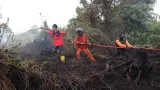Prabowo Dapat Laporan Lahan Terbakar Jadi Kebun Sawit, Ancam Cabut Izin dan HGU Korporasi