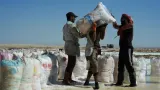 Potret Keluarga Suriah Mencari Nafkah dari Garam Gurun Palmyra