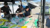 Bulog Pastikan Ketersediaan Stok Beras dan Distribusi Pangan di Nusa Tenggara Timur Tetap Terjaga