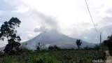 6 Gunung Api Erupsi Beruntun Akhir Agustus, PVMBG, Tak Ada Bukti Saling Picu
