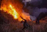 Kebakaran Bromo Berulang, Saatnya Merombak Strategi Konservasi